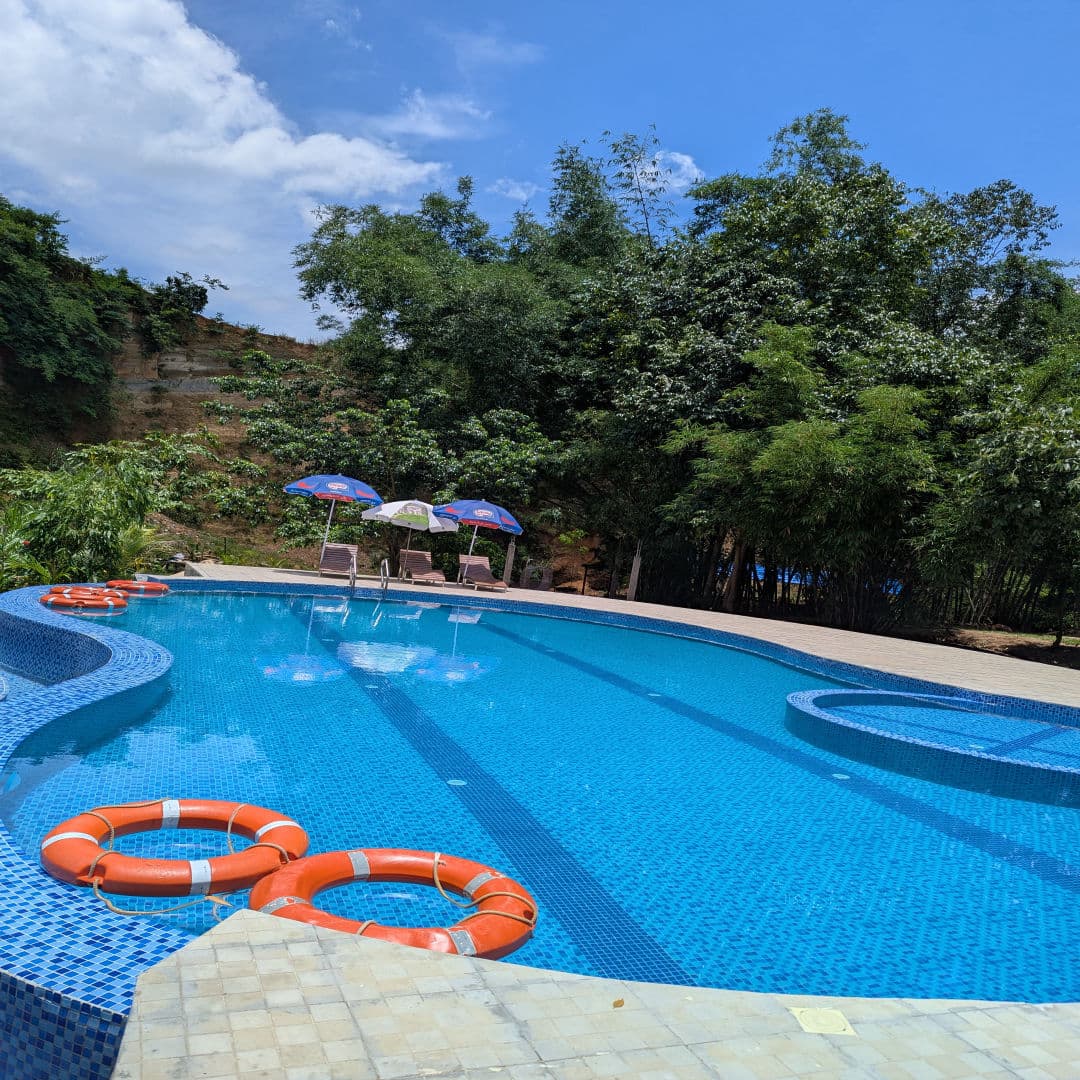 Balishira Resort's curved swimming pool with lifebuoys, sun loungers and umbrellas, backed by a wooded hillside