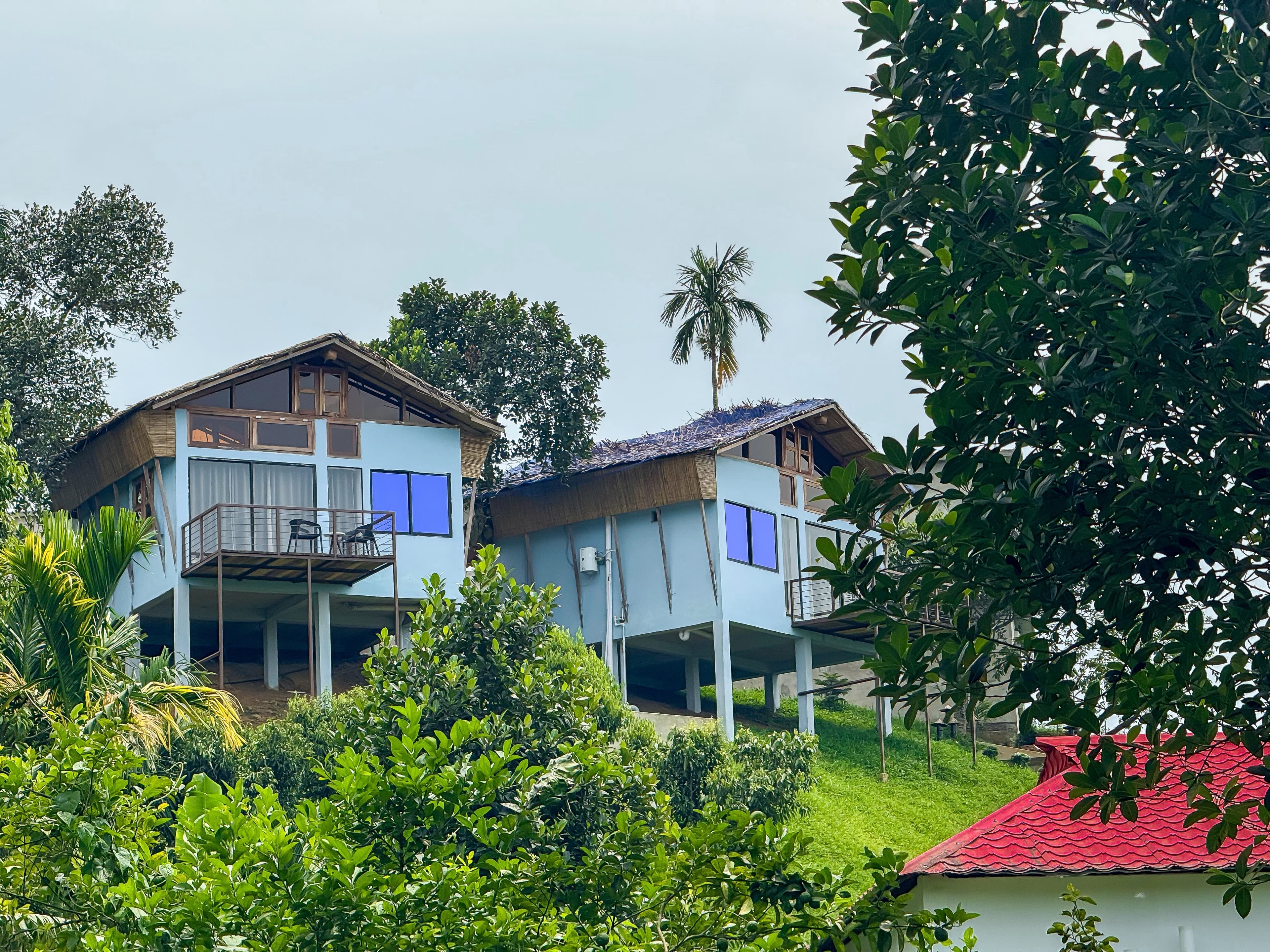 Bonsai Eco Village's stilted blue cottages with thatched roofs, seen through the surrounding trees