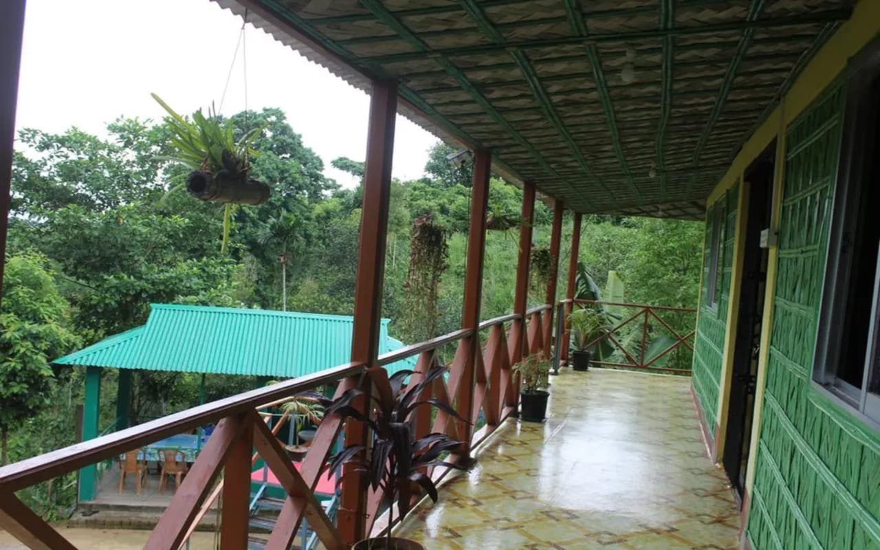 A covered wooden veranda at Green Palace Tea Resort overlooking a green tin-roofed gazebo and surrounding forest