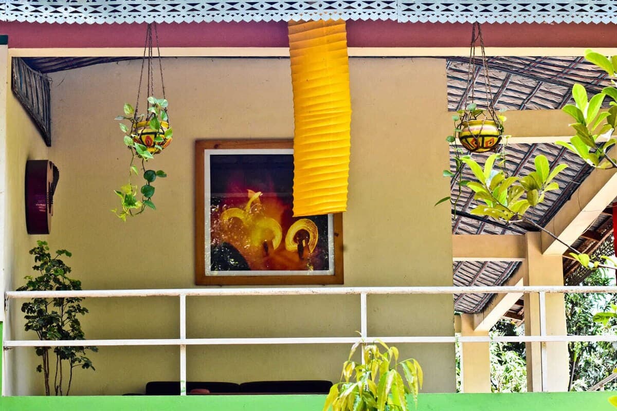 A decorated balcony wall at Himachol Resort with hanging planters and a framed abstract artwork