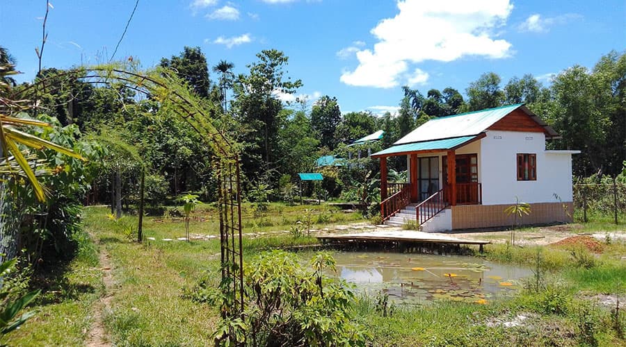 A green-roofed cottage at Himkuri Bon Bungalow reached by a wooden walkway over a small lily pond