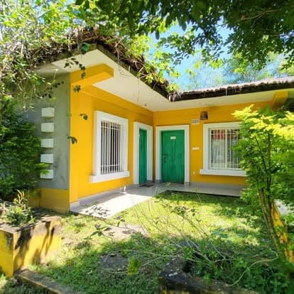 Mustard-yellow single-storey guest block with two green doors, white-framed grilled windows and a thatch-topped flat roof, fronted by a paved veranda and an overgrown lawn