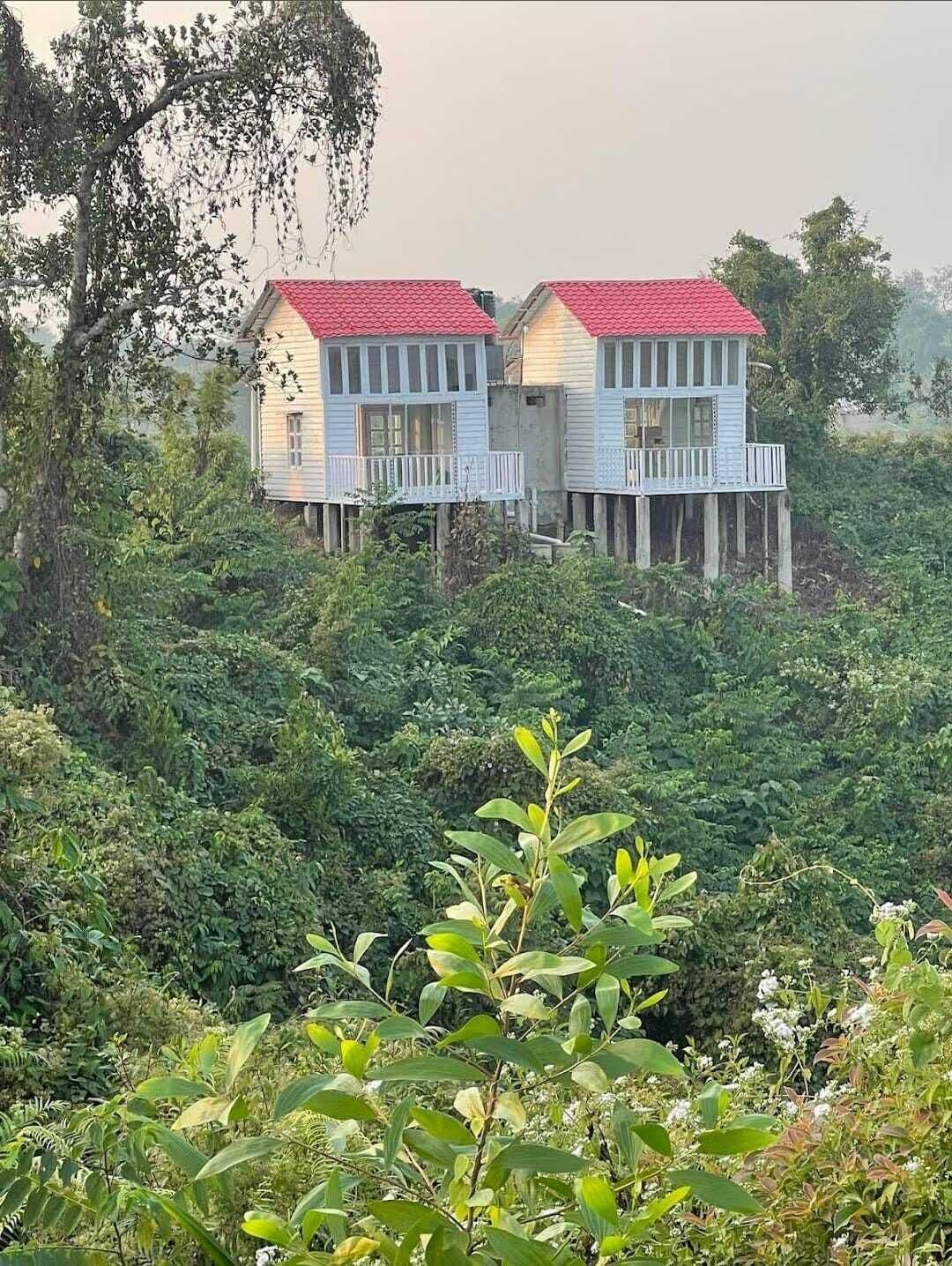 Distant exterior view of two elevated wooden cottages with pink-red roofs on stilts, surrounded by dense forest