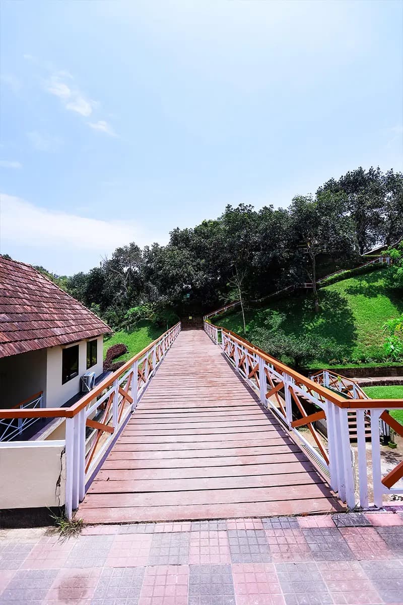 A wooden footbridge connecting a tiled-roof cottage to the wooded hillside at Novem Eco Resort