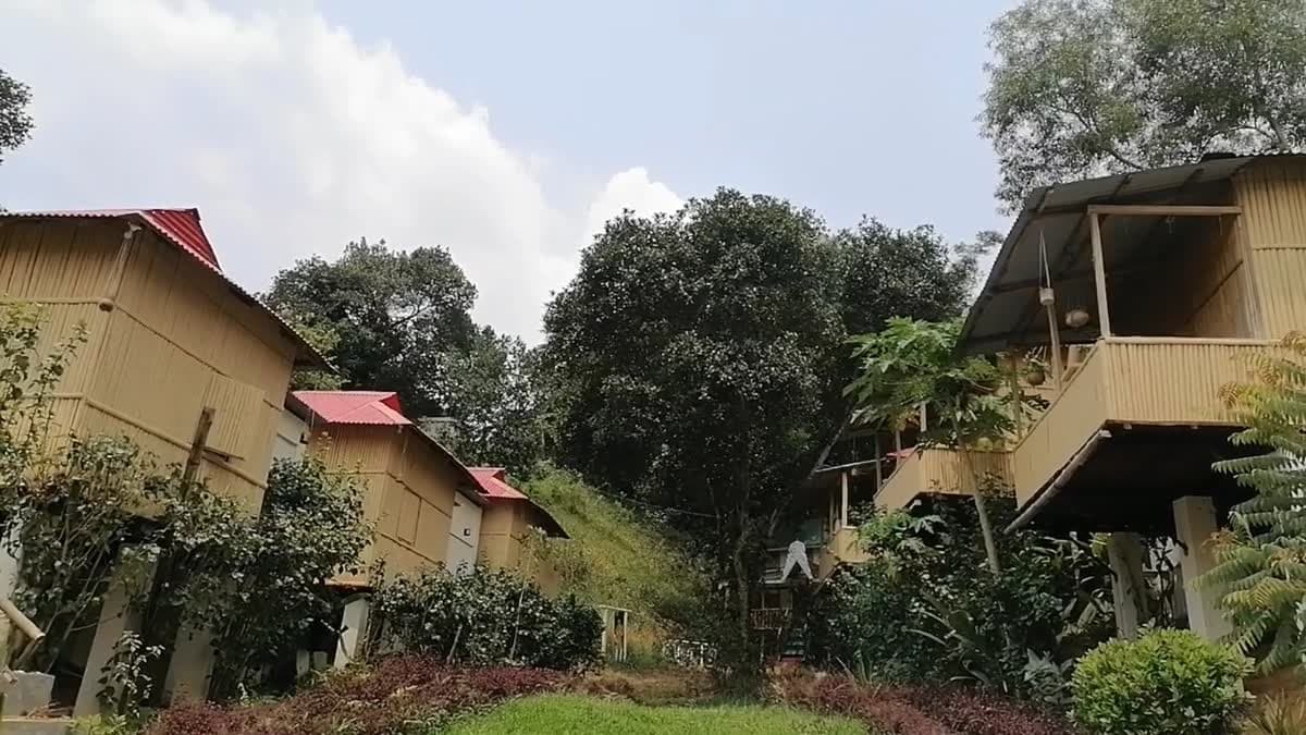 Row of bamboo-clad cottages on stilts with red tin roofs, built into a wooded hillside, with an elevated bamboo balcony walkway on the right