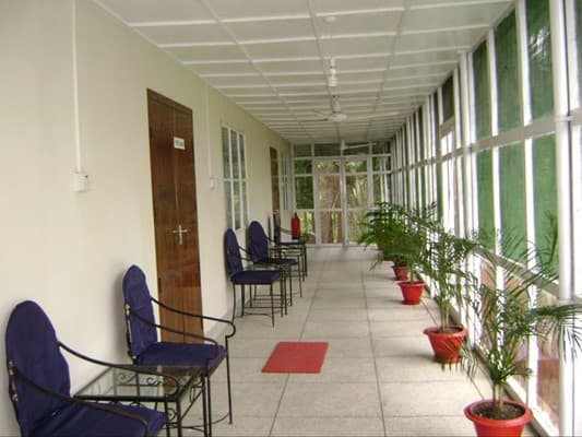 A glassed-in veranda hallway at Sreemangal Tea Resort and Museum with blue armchairs and potted palms along the windows