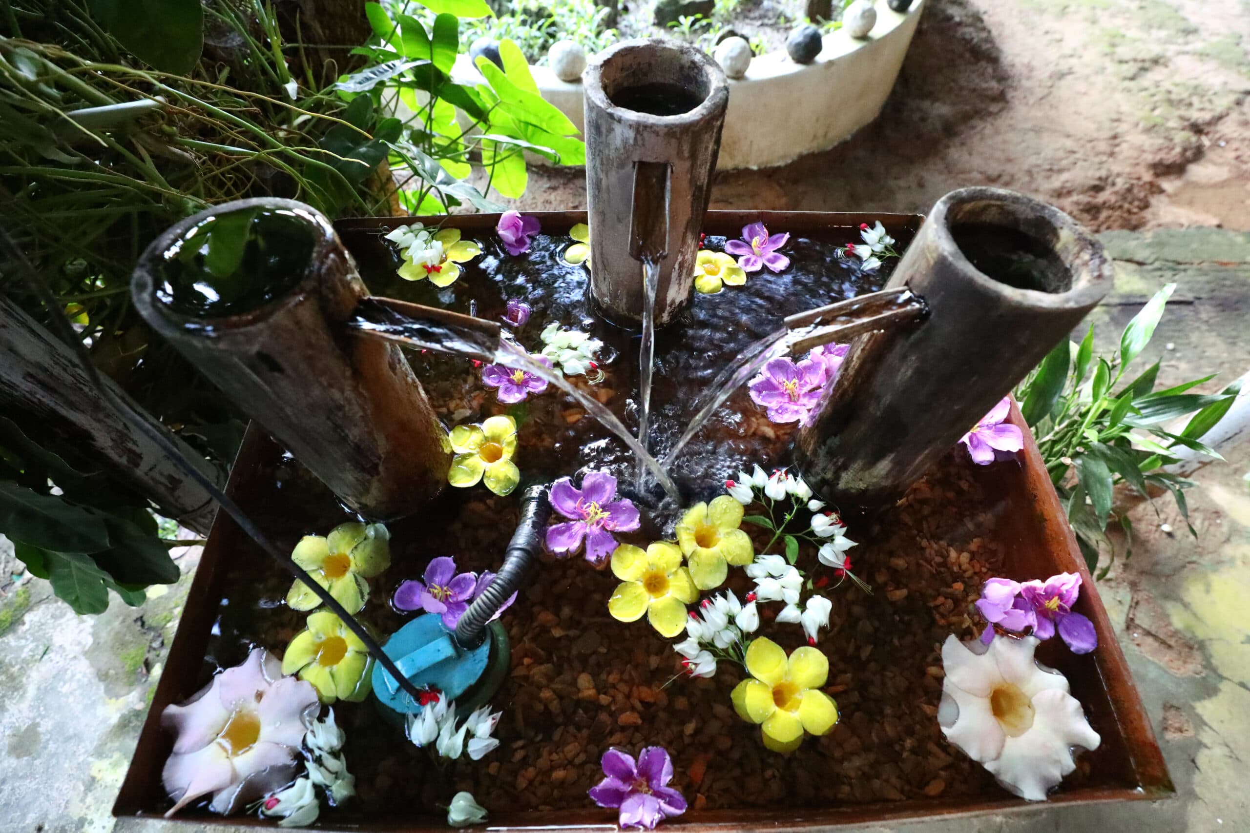 A small bamboo-spout water feature in the resort's garden, its basin scattered with fresh flowers