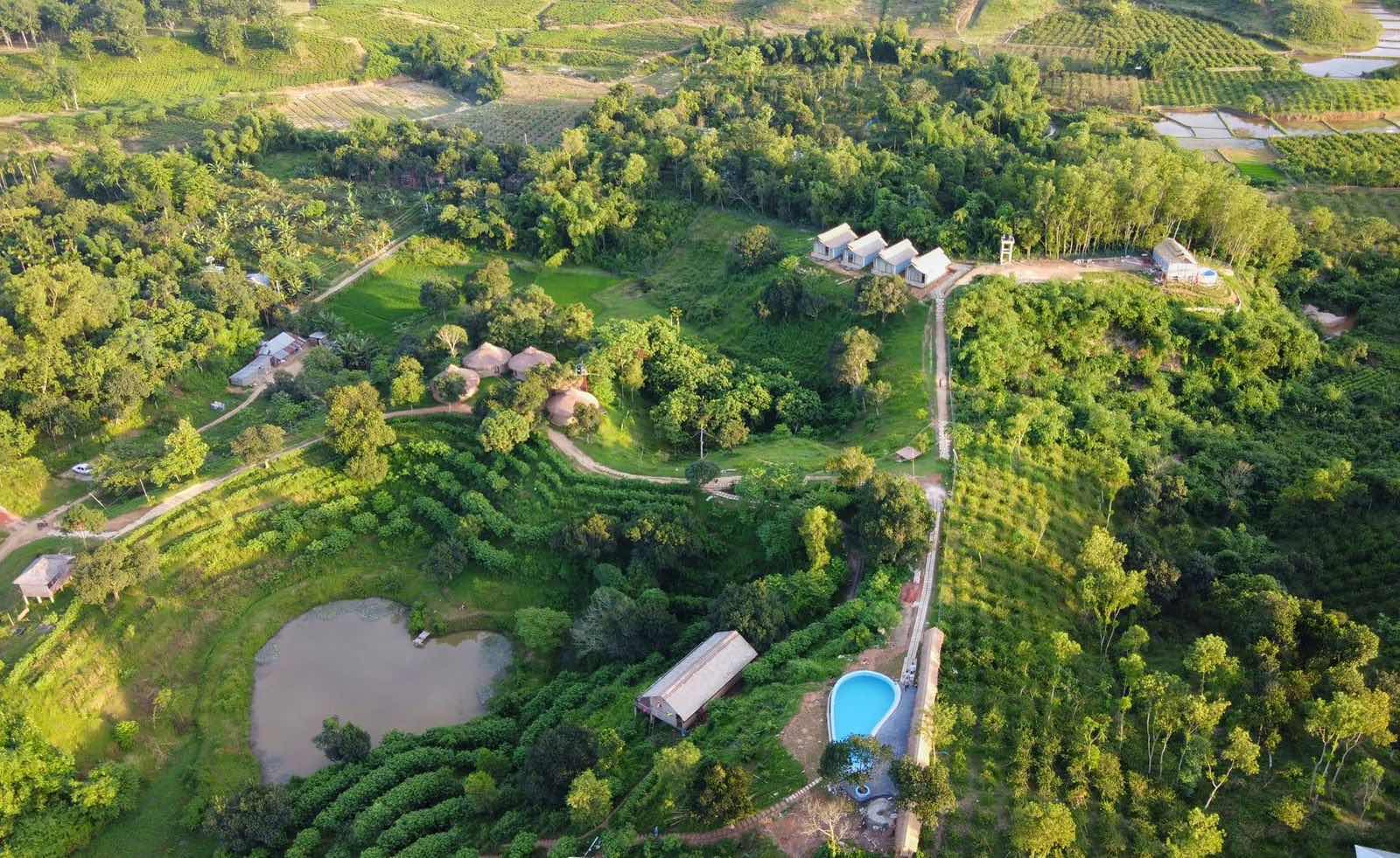 An aerial view of Tilagaon Eco Village's cottages, pond and pool set in tea gardens